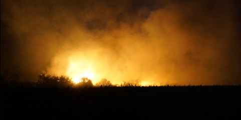 Fototapeta na wymiar Field fire at night