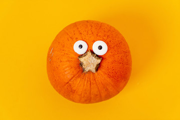 organic pumpkin on the yellow background