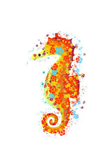 Brightly colored seahorse on a white background