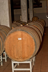 Front view of French oak fermentation and aging barrels in the wine cellar of a Piedmont winery in northeast Italy