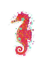 Brightly colored seahorse on a white background