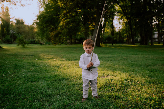 A little boy playing with a stick in a beautiful green field