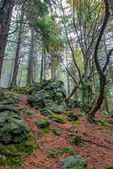 Tour im Bayerischen Wald zum Mühlriegel und Ödriegel