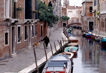 犬の散歩をする女性