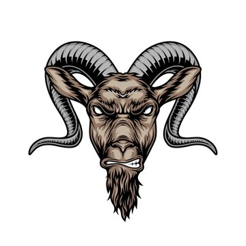 Colorful angry horned goat head