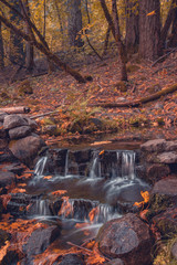 Autumn foliage and creek waterfall flowing in California forest
