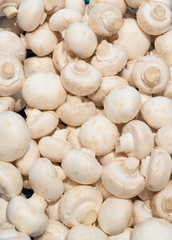 Fototapeta na wymiar White fresh champignons close-up. Food, mushrooms