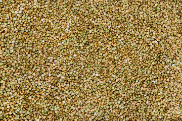 Green buckwheat closeup. Healthy eating, cereals and cooking.