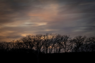 Fototapeta na wymiar January Slumber, purple sunset