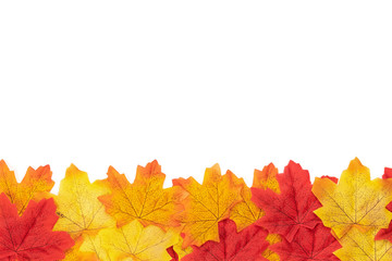 Flat lay Autumn maple leaves texture. Background made of color red and orange leaves isolate on white background. Top view, Nature background