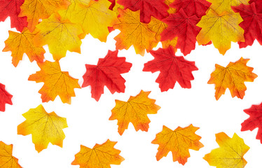 Naklejka na ściany i meble Top view Autumn maple leaves texture. Background made of color red and orange leaves isolate on white background. Nature background, Flat lay patterns