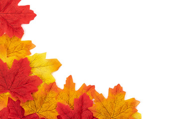 Top view creative frame design autumn maple leaves on white background. Frame of autumn leaves card, poster or banner concept