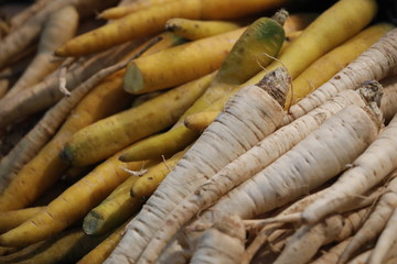 Gelbe und Weisse Petersilienwurzel Pastinake aus biologischen Anbau als Close up