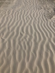 ripples in the sand