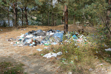 Garbage in the forest. Environmental pollution.