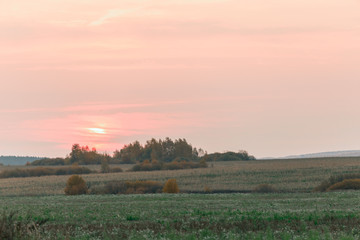 Obraz premium Sun disc on a red sky during sunrise over a meadow in the countryside.