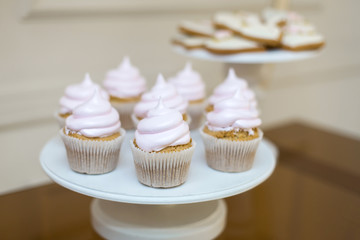 white plate with sweet muffins in wedding