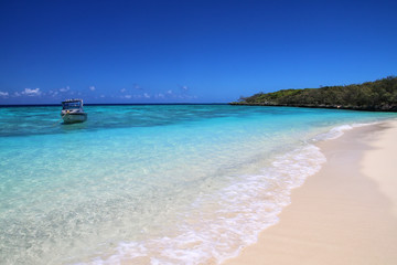 Fototapeta na wymiar Sandy beach at Gee island in Ouvea lagoon, Loyalty Islands, New Caledonia