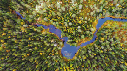 Autumn forest with yellow and red trees and blue river aerial view.