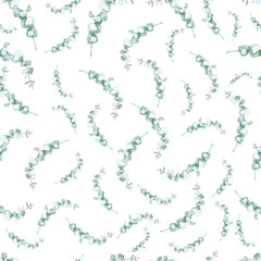 Seamless floral pattern with eucalyptus leaves.