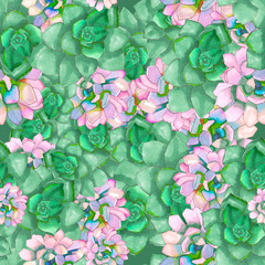 Seamless pattern with echeveria succulent
