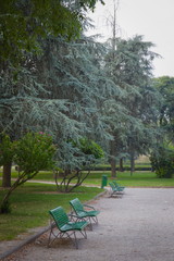 A couple with empty green benches, coniferous and deciduous trees. Europe, Italy