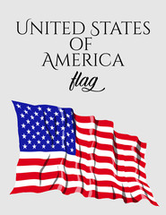 Flag of United States of America. Vector illustration