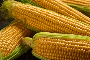 Fresh corn on cobs on rustic wooden table, closeup