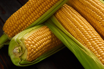 Fresh corn on cobs on rustic wooden table, closeup