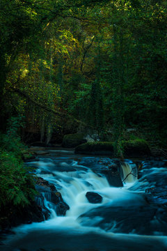 River Rapids In Dense Green Undergrowth, The Tree Canopy Is Lit With Golden Light, With Large Boulders In The Foreground, And Vine Like Ivy Hanging From The Canopy Overhead