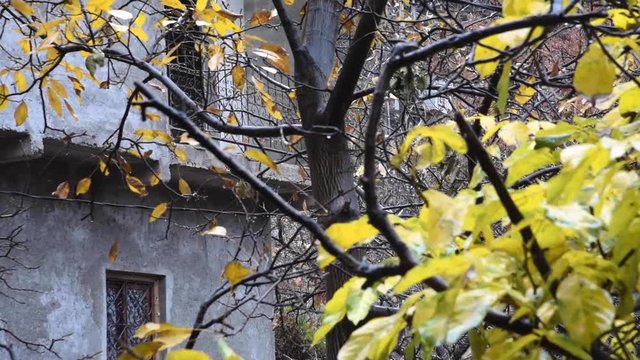 Rainy Fall Day in Imlil in the Atlas Mountains in Morocco