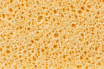 Macro view cellulose sponge texture - obrazy, fototapety, plakaty
