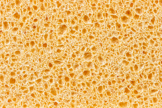Sponge Texture Image & Photo (Free Trial)