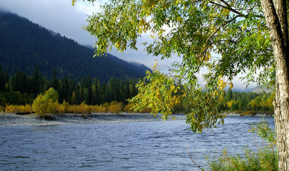 Autumn composition on the background of the mountain