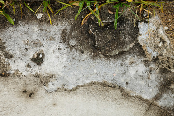 cracked old stone in the sand, with grass stone wall with cement and sand space for text