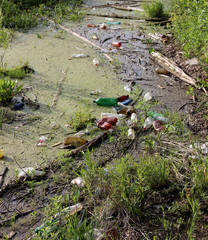 plastic bottles and garbage in the pond.