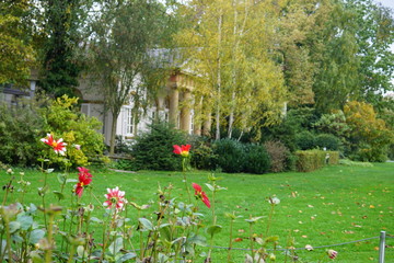 Fototapete bei efototapeten.de bestellen   