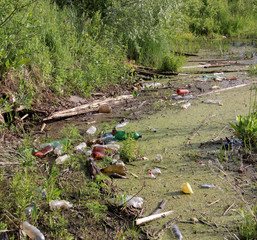 plastic bottles and garbage in the pond.