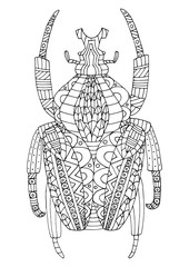 Beetle. Coloring book for kids and adults. Coloring page, zen art