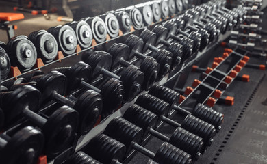 Fototapeta na wymiar Many metal heavy dumbbells on a rack in the gym. Free Weight Training