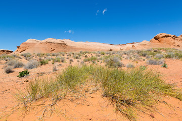 Page, AZ, USA. Page, AZ. Desert scrubland and foliage beneath blue skies and hills.