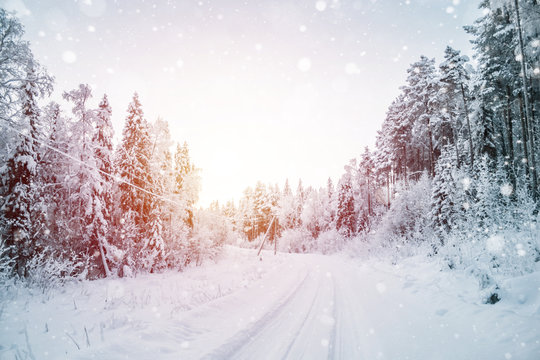 Beautiful fabulous winter landscape: the road going through the forest, everything is covered with snow at sunset.