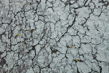 cracked street like earth texture, asphalt cracked like dessert