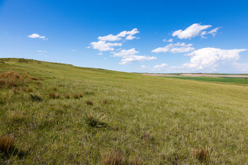 Fototapeta premium Bright white clouds over green grassland.