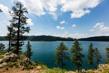 Fototapeta na wymiar Evergreen trees standing over a calm lake under blue skies