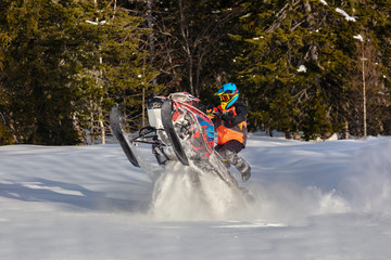 rider in a bright suit on a colorful snowmobile raises snow tubers in a mountain forest. riding a...