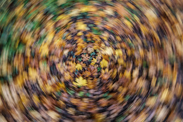 autumn pattern. abstract with green tree leaves