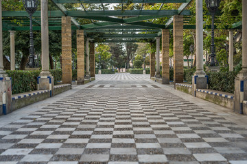 A walk among trees and plants in Cadiz