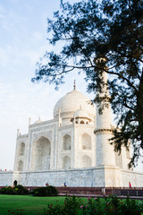 Fototapeta na wymiar Agra, India. Taj Mahal against blue sky framed by tree.