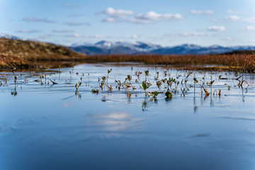 turning lake